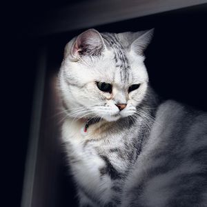 podcaster-avatar