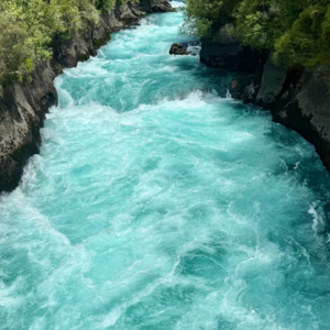 vol.62 在充满不确定性的一年里，我们守住了什么？