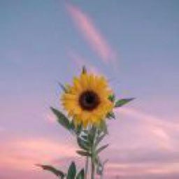 邹慧的唠嗑频道