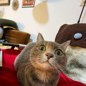 🌊我与妈周旋久 爱一直赢