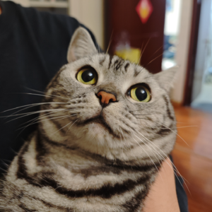 vol.07 抑郁症是什么感受？消失的两年我经历了什么