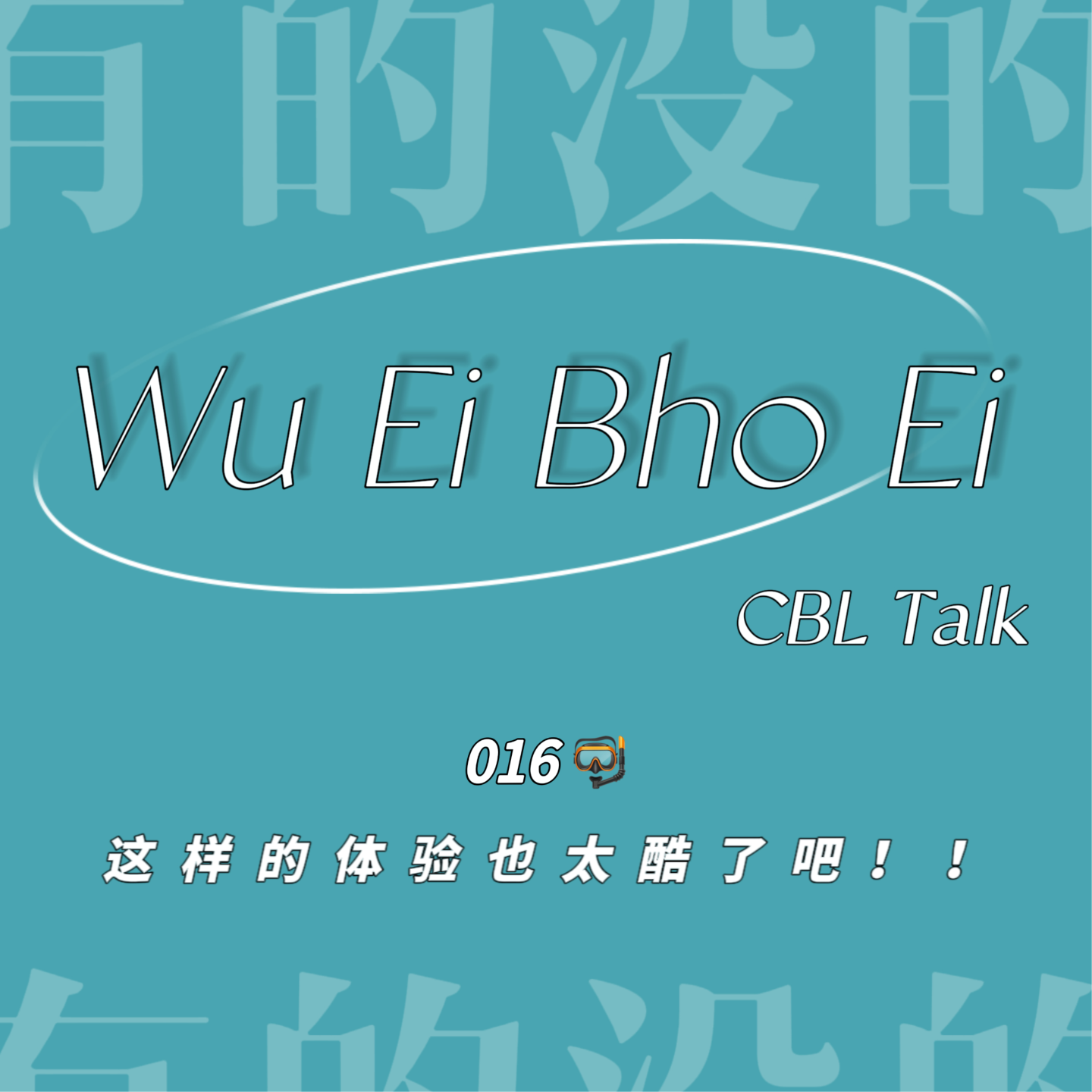 016 🤿这样的体验也太酷了吧！！ episode artwork