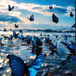 podcaster-avatar