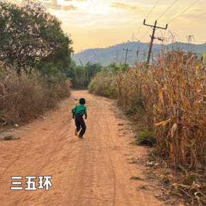 No.160 来杯半拿铁|坦桑尼亚旅行报告