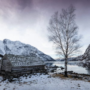 别内耗了，你能决定的事情真的很少