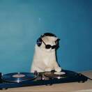 三年二班王子明