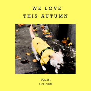 vol.151：你也喜欢秋天吗？