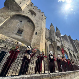 旗妙聚场008.总有一个理由，去阿维尼翁