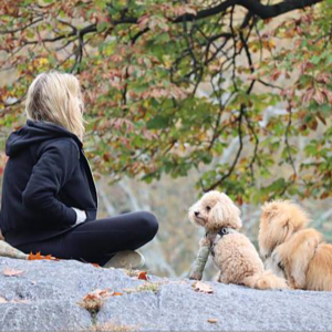 Vol.26 【生活在他乡】披星戴月地奔波，只为一扇窗