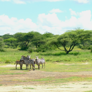 19.一边热爱“生活在别处” ,一边说着对旅游祛魅了