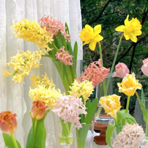 VOL551.电影《不虚此行》∶悼词里的人间烟火，岁月中的深情挽歌。