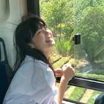 布谷鸟与常春藤