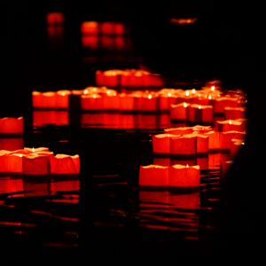 王野野 ▏因缘一聚慈恩永沐，浮生半世思念常明【悼亲恩】