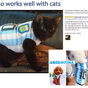 阿根廷总统米莱为什么要炒自己外长鱿鱼