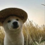 什么风_xiRP