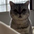 机智勇敢的郭中立