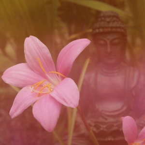 EP03练习金刚功414天，终于更加坚定地走向自己，拥抱自己