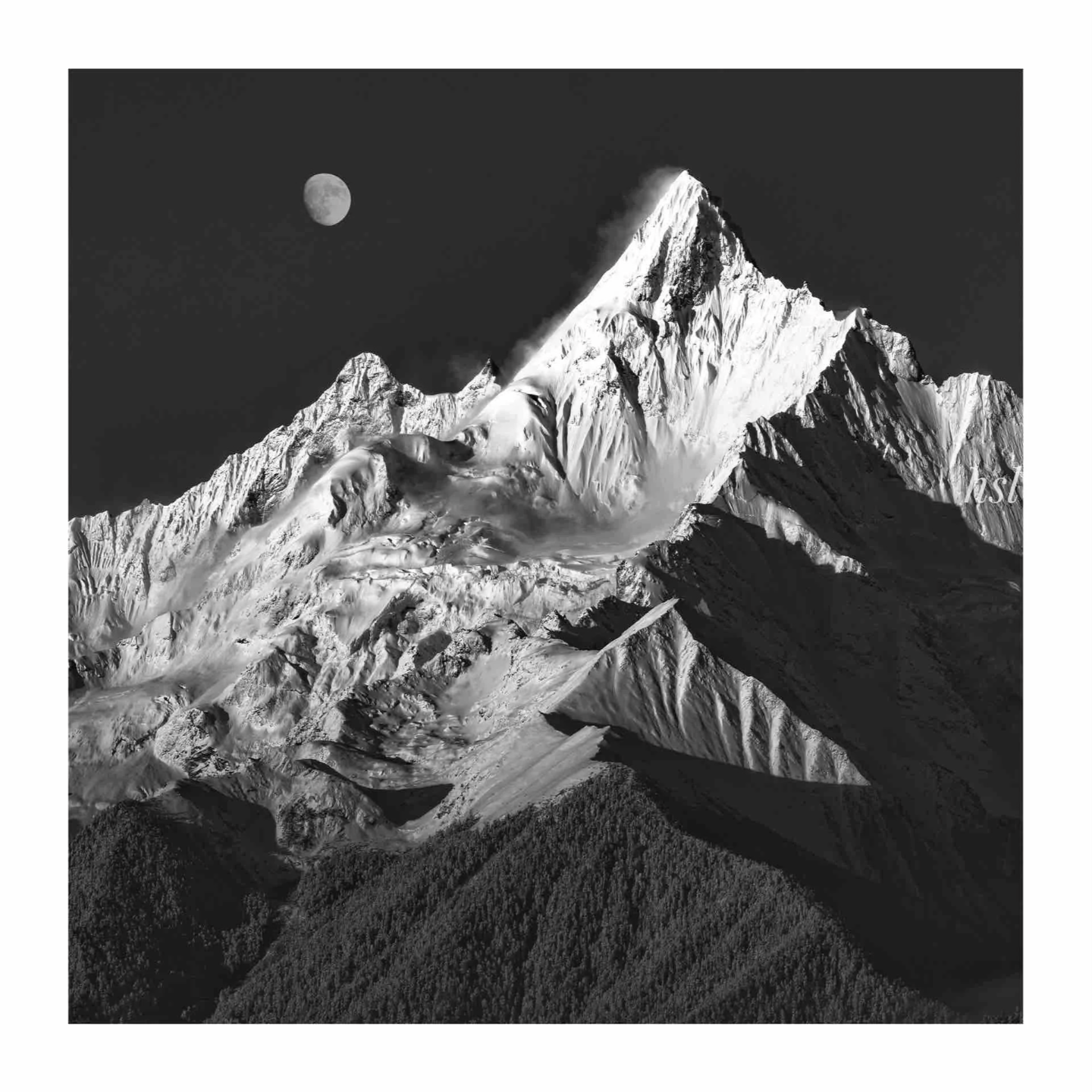 Vol 14 ｜品牌盲盒系列06：「后始祖鸟时代」——艺术，是品牌的解药还是滤镜？ episode artwork