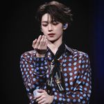 牙齿咬合力堪比鳄鱼