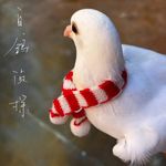 糯米团子言木木