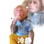 一颗奔跑的苹果