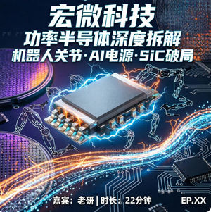第25期:一家给机器人造"关节心脏"的公司,值不值得押注?——宏微科技深度拆解