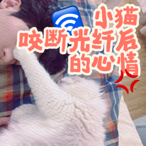 1.9.1 小猫咬断光纤后的心情