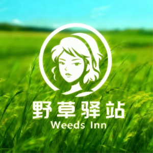 003 我治不好拖延症,但我找到了比治好它更好的办法