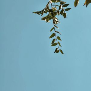 瓜老师们的个人播客