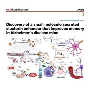 1301-Clusterin Enhancers for Alzheimer’s Disease Therapy