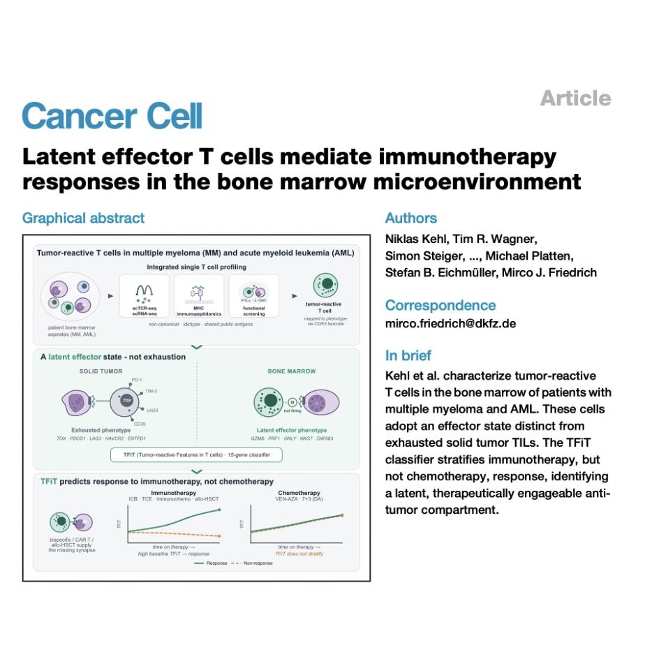1523-Latent Effector T Cells in Bone Marrow Malignancies episode artwork