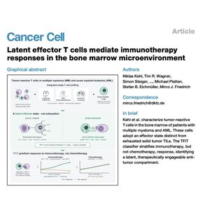 1523-Latent Effector T Cells in Bone Marrow Malignancies