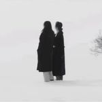 鬼鬼祟祟的胡萝卜