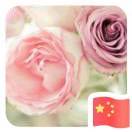 数学老师追梦