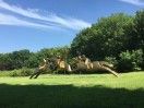 劲松三路
