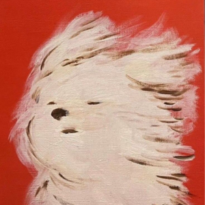 vol.008：当写了12年的公众号阅读量暴跌