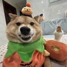 有李说不清_0zhJ