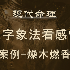 95.现代命理 象法看感情 案例-燥木燃香