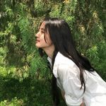春天里的树