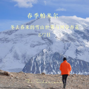 2025年春季南疆，河谷杏花与雪山世界的对话