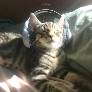 时缝里的情书-廖俊涛