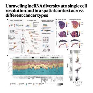 1066-Spatial Pan-Cancer Atlas of lncRNAs