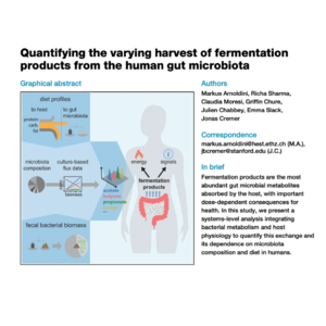 079-Quantifying Gut Microbiota Fermentation Products