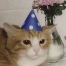 Deliyim