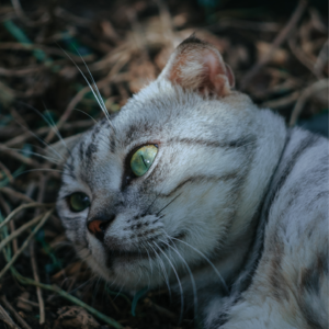 漫长的童年潮湿到现在(1)