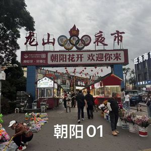 番外-辽宁｜辽西走廊：朝阳01-过于丰富，推荐二刷！