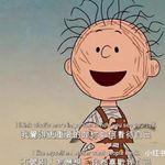刺猬小姐不刺猬