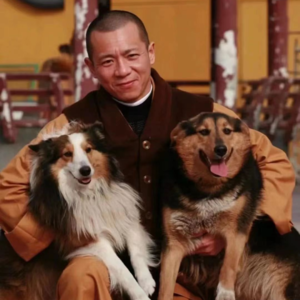 🐶另一种声音 014｜对谈上海报恩寺智祥法师：一个和尚救助流浪动物的故事