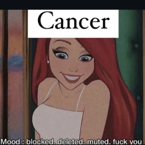 EP08.星座茶摊|“剧烈的语言变成温柔,又带来了什么”- 巨蟹座之我不想想太多