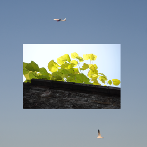 NO.42 不如跟着节奏陷进我的双臂